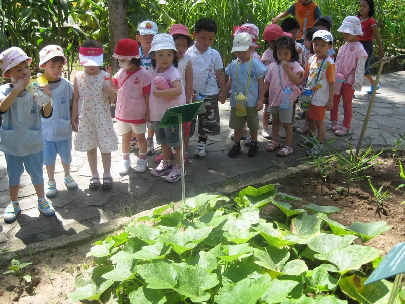 臺北市私立三暉幼兒園